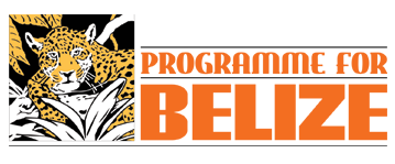 programme-for-belize-logo